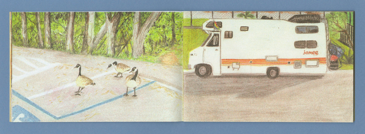 Caravanas and 16 ducks
