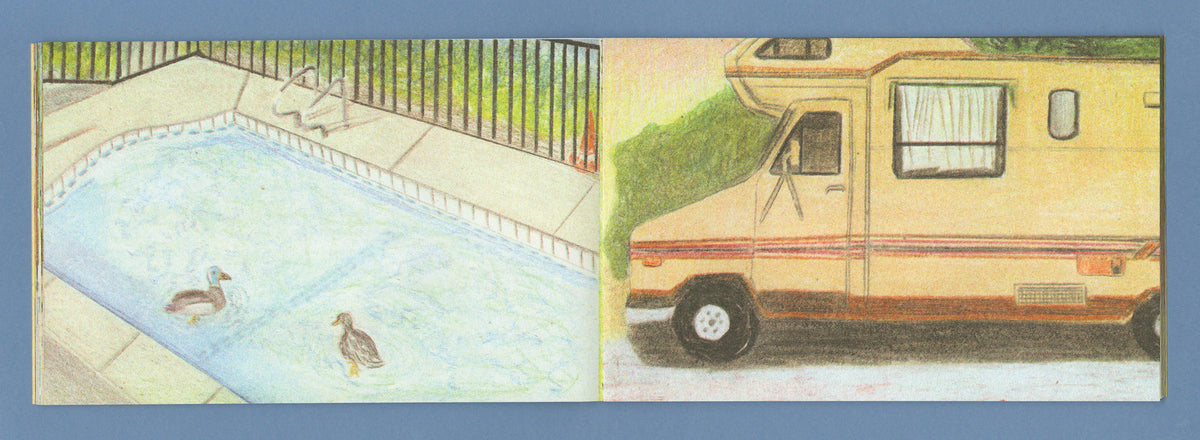 Caravanas and 16 ducks