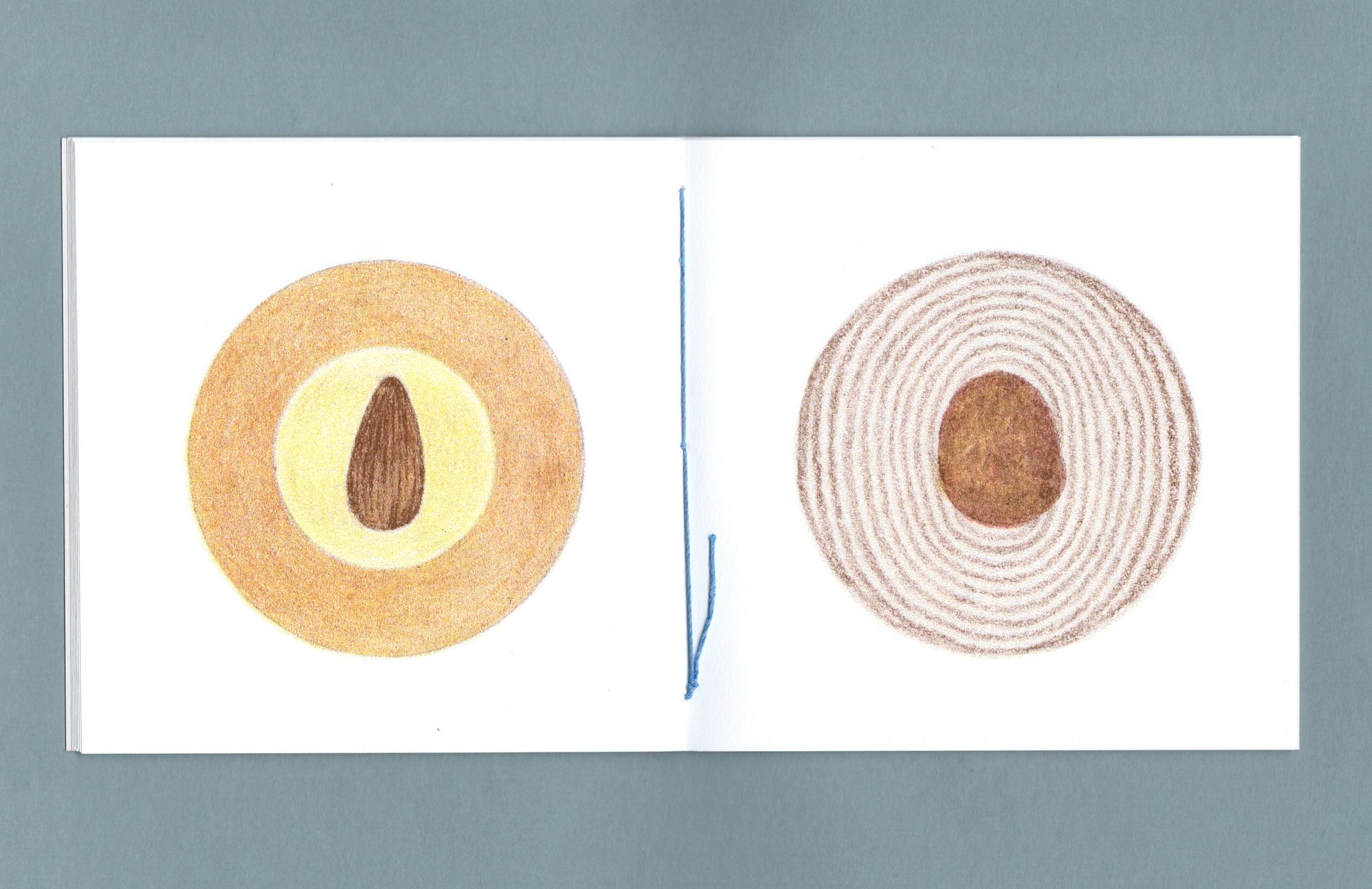 Sometimes, food comes in a circle