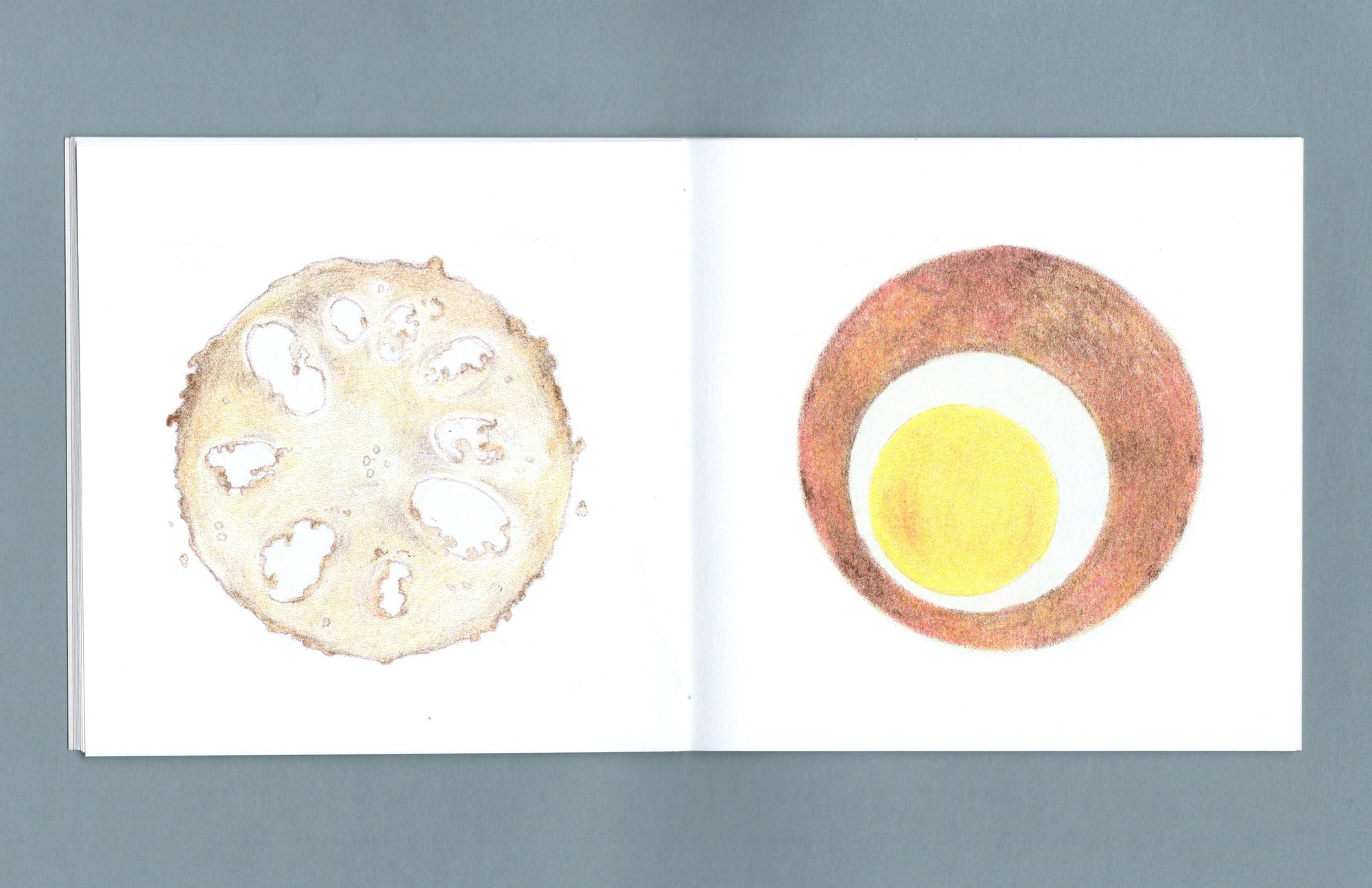 Sometimes, food comes in a circle