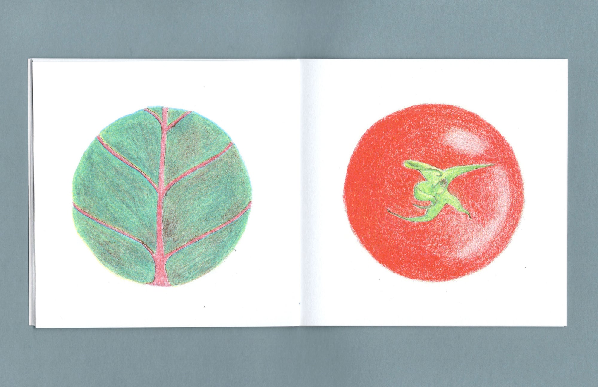 Sometimes, food comes in a circle