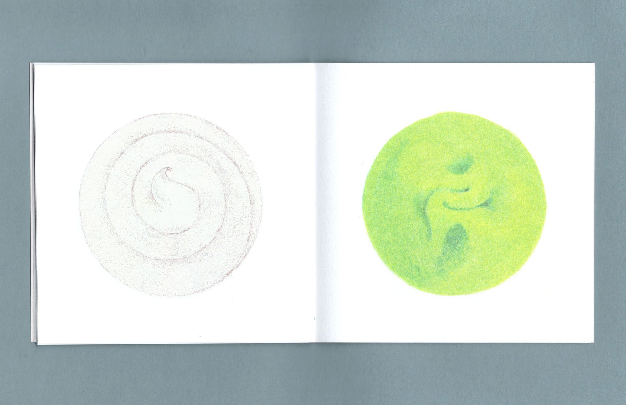 Sometimes, food comes in a circle