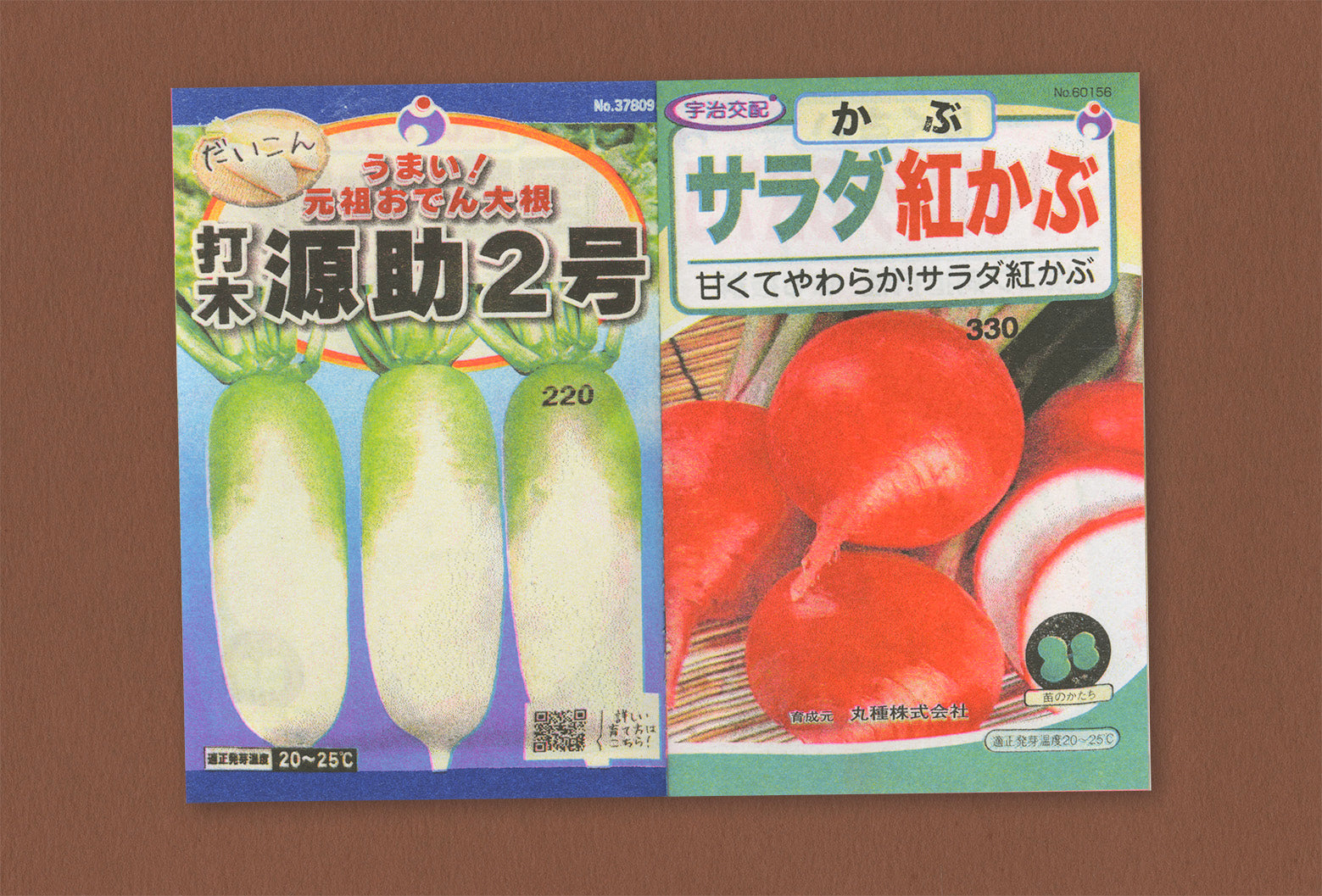 Seeds