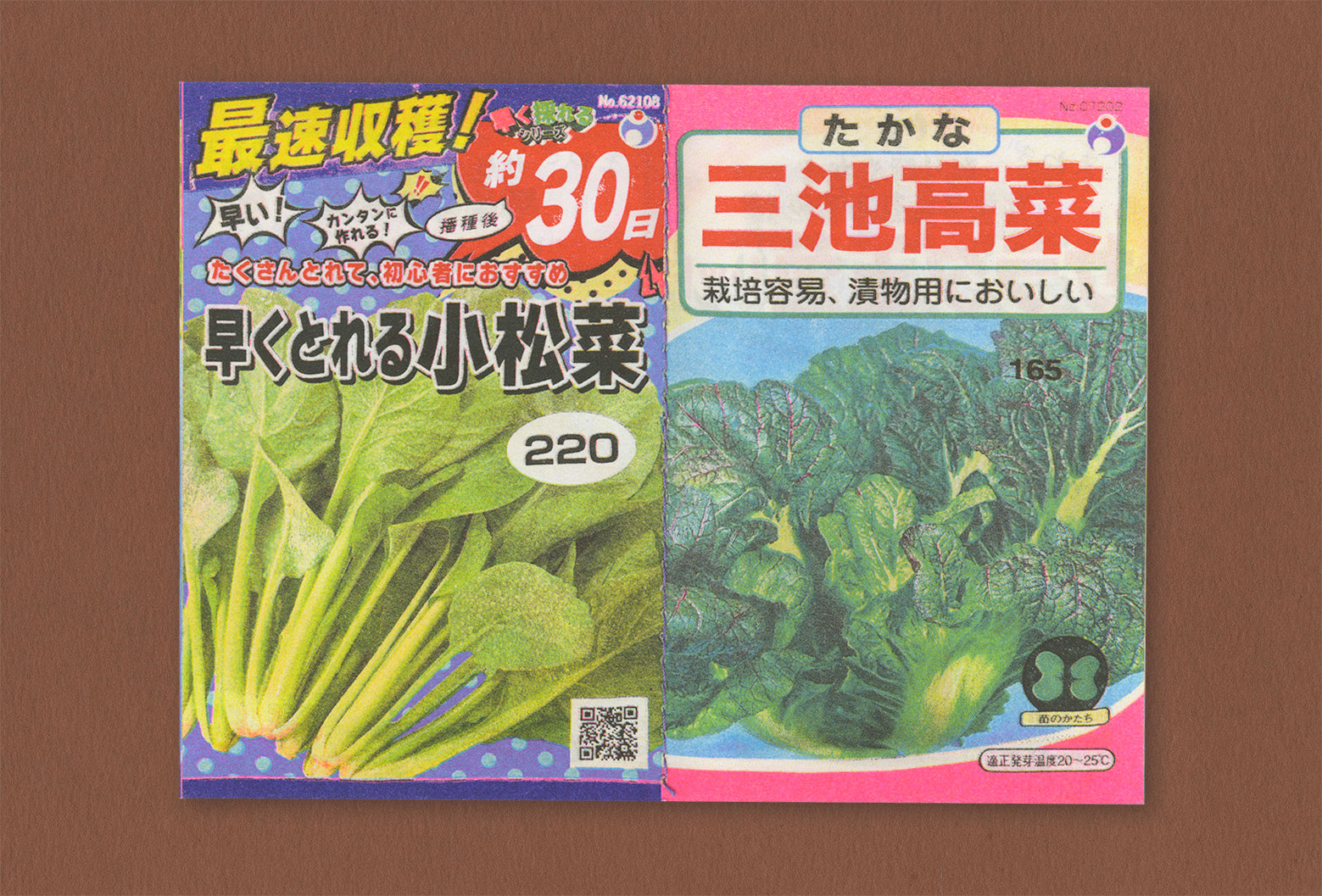 Seeds