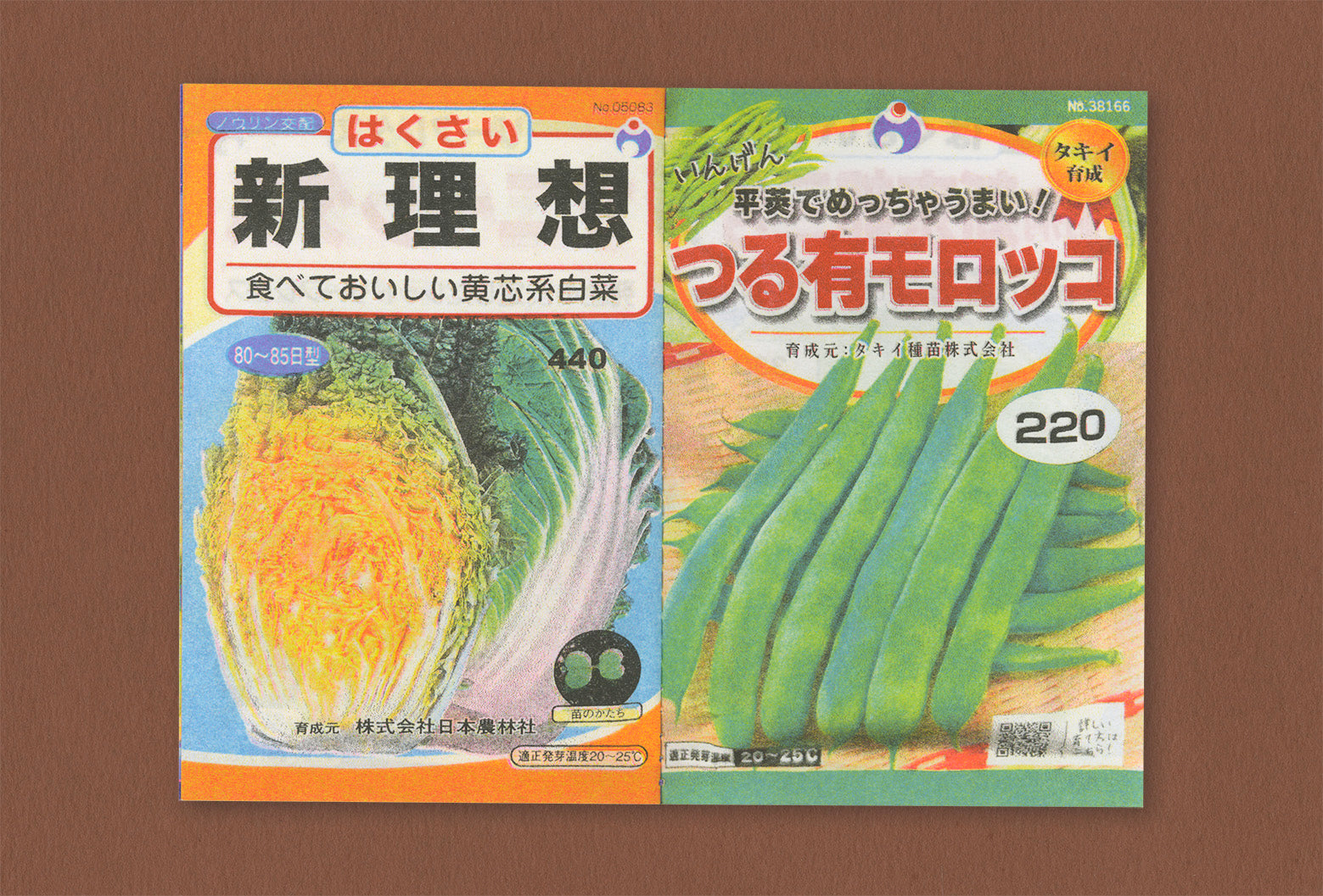 Seeds