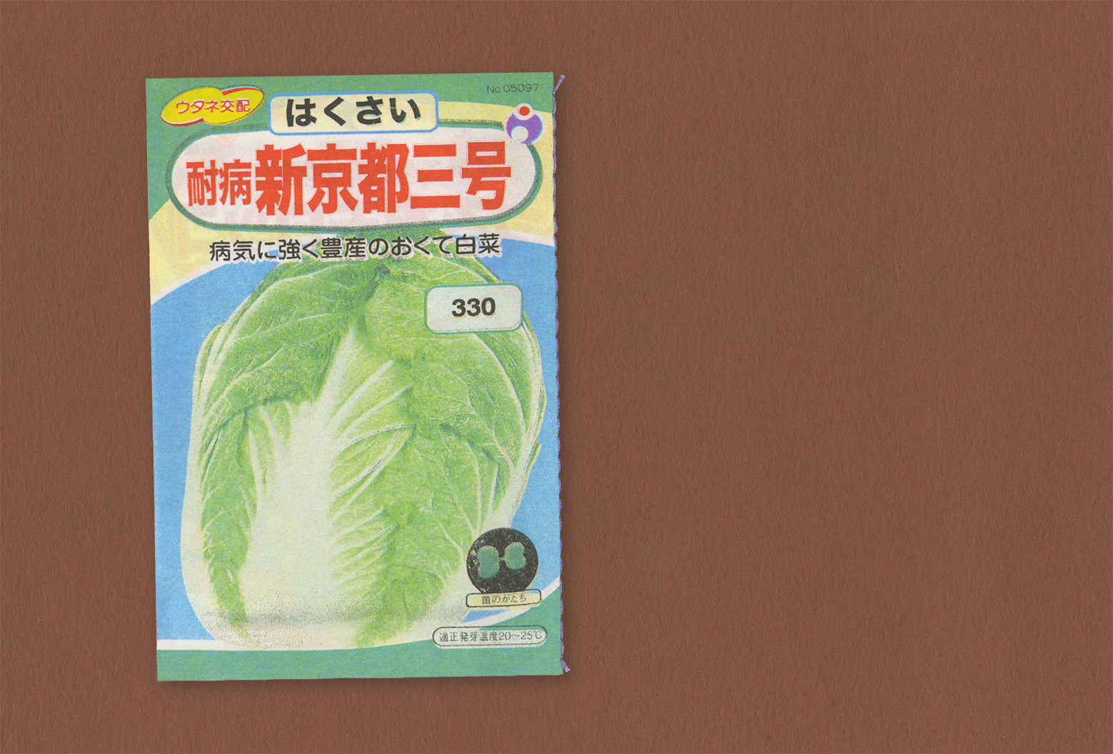 Seeds